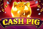 Cash Pig